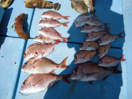 十八宝洋丸 釣果