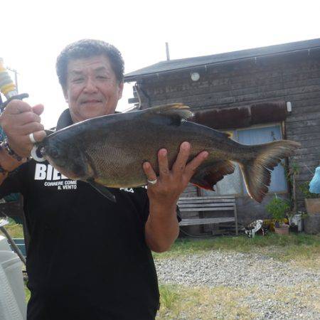 浜名湖フィッシングリゾート 釣果