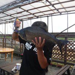 浜名湖フィッシングリゾート 釣果