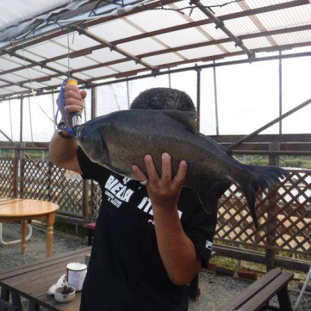 浜名湖フィッシングリゾート 釣果