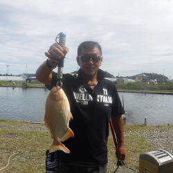 浜名湖フィッシングリゾート 釣果