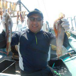 大進丸（愛知） 釣果