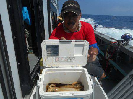大進丸（愛知） 釣果