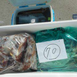 大進丸（愛知） 釣果