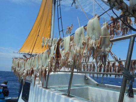 大進丸（愛知） 釣果