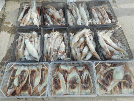 大進丸（愛知） 釣果