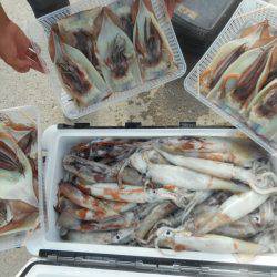 大進丸（愛知） 釣果