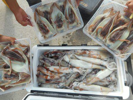 大進丸（愛知） 釣果