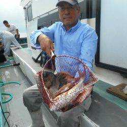 大進丸（愛知） 釣果