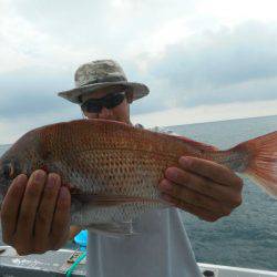 大進丸（愛知） 釣果