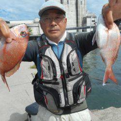 大進丸（愛知） 釣果