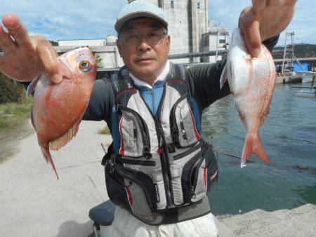 大進丸（愛知） 釣果