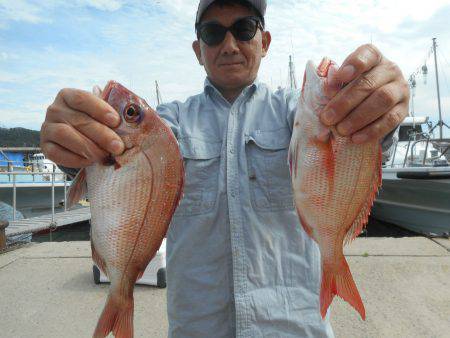 大進丸（愛知） 釣果