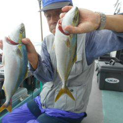 大進丸（愛知） 釣果