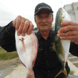 大進丸（愛知） 釣果