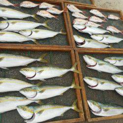 大進丸（愛知） 釣果