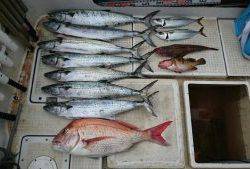 さぶろう丸 釣果