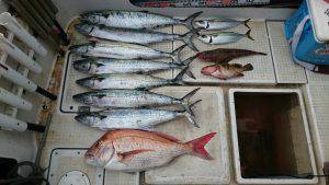 さぶろう丸 釣果