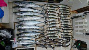 さぶろう丸 釣果