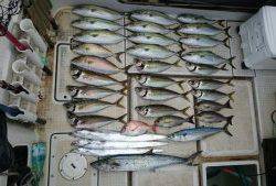 さぶろう丸 釣果