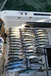 さぶろう丸 釣果