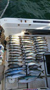 さぶろう丸 釣果