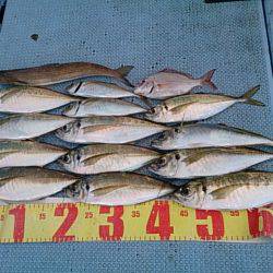 第二常豊丸 釣果