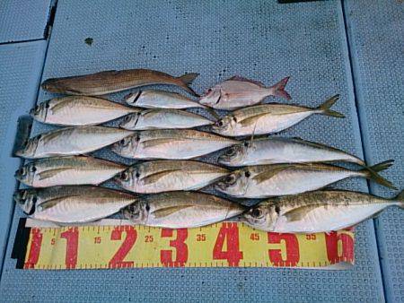 第二常豊丸 釣果