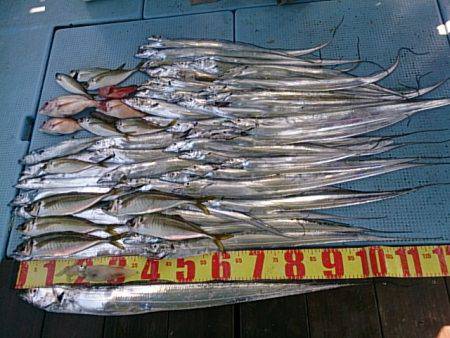 第二常豊丸 釣果