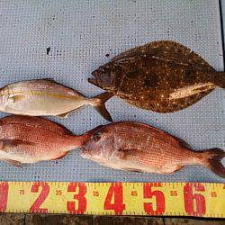 第二常豊丸 釣果