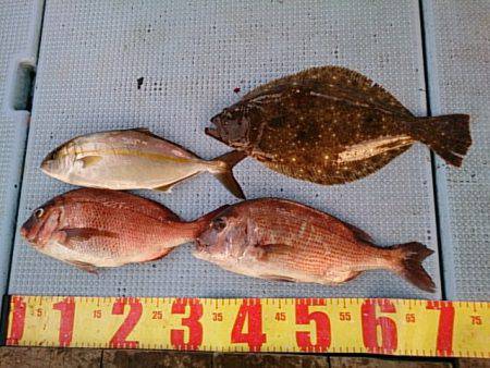 第二常豊丸 釣果