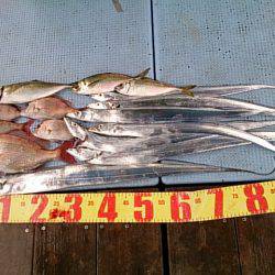 第二常豊丸 釣果