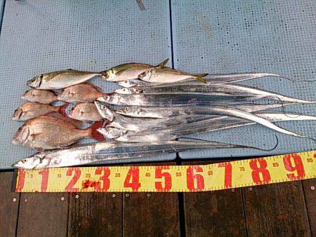 第二常豊丸 釣果