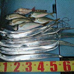 第二常豊丸 釣果