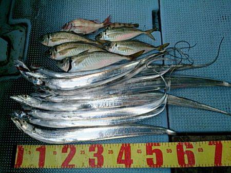 第二常豊丸 釣果