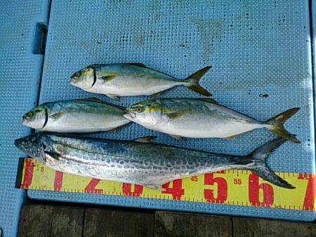 第二常豊丸 釣果