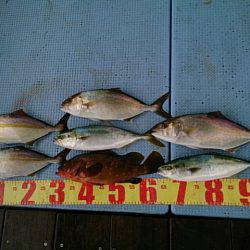 第二常豊丸 釣果