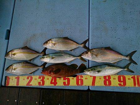 第二常豊丸 釣果