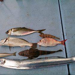 第二常豊丸 釣果