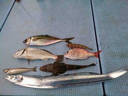 第二常豊丸 釣果