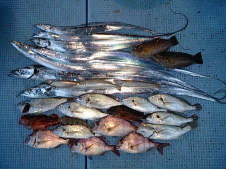 第二常豊丸 釣果