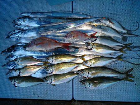 第二常豊丸 釣果