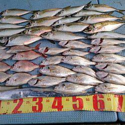 第二常豊丸 釣果