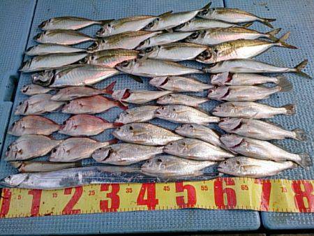 第二常豊丸 釣果