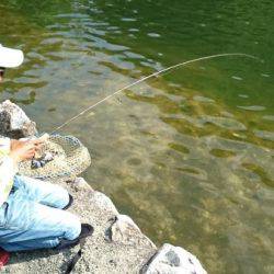 フィッシングエリア帝釈 釣果