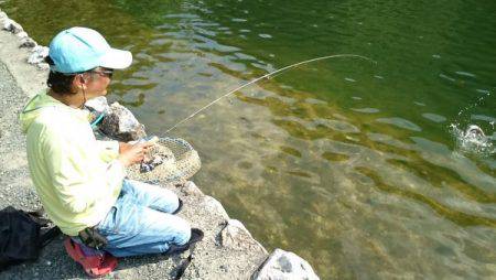 フィッシングエリア帝釈 釣果