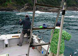 喜盛丸 釣果