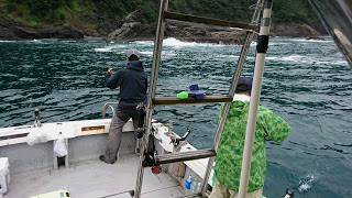 喜盛丸 釣果