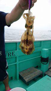 愛海丸 釣果