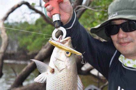 ローカルフィッシング 西表 マリンボックス 釣果